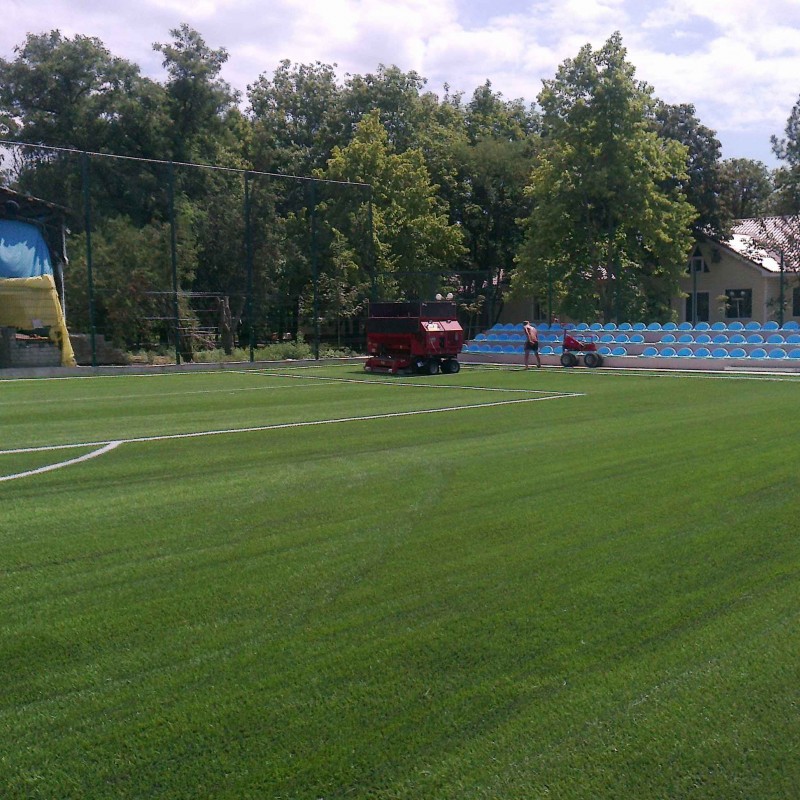 поле 42х62 с. Сопіно 2010